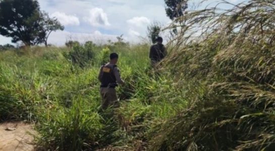 SEABRA: Mulher é encontrada seminua e com perfuração na cabeça no oeste da Bahia