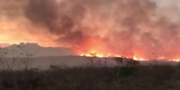 Chapada: Brigadistas da região voltam a registrar focos de incêndio em áreas do município de Mucugê