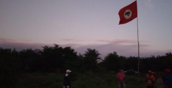 CHAPADA: MST ocupa fazenda em Boa Vista do Tupim e diz que é área improdutiva