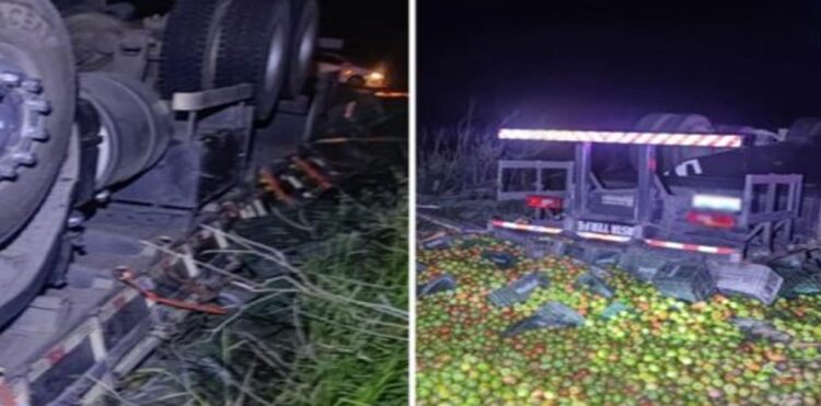 Chapada: Caminhão carregado com tomates capota e motorista fica preso às ferragens na região de Barra da Estiva