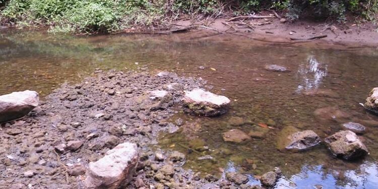 Chapada: Responsável por alimentar as principais bacias do estado, Rio Utinga sofre com exploração motivada pelo agronegócio