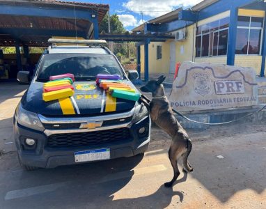 Seabra: Em operação conjunta, PRF e NK9 CIPE Chapada realizam apreensão de quase de 30 Kg de maconha durante abordagem a ônibus