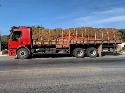 Seabra: PRF flagra caminhão transportando 15 toneladas de cebola sem nota fiscal