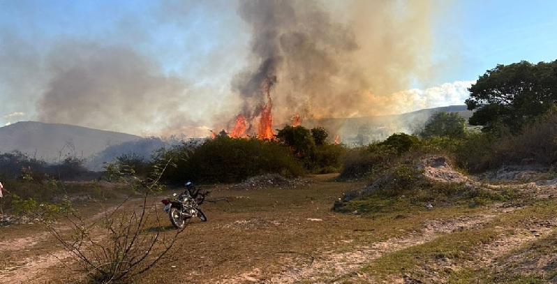 Brigadistas usam motobomba para conter incêndio em região de Palmeiras; risco de recorrência das chamas persiste