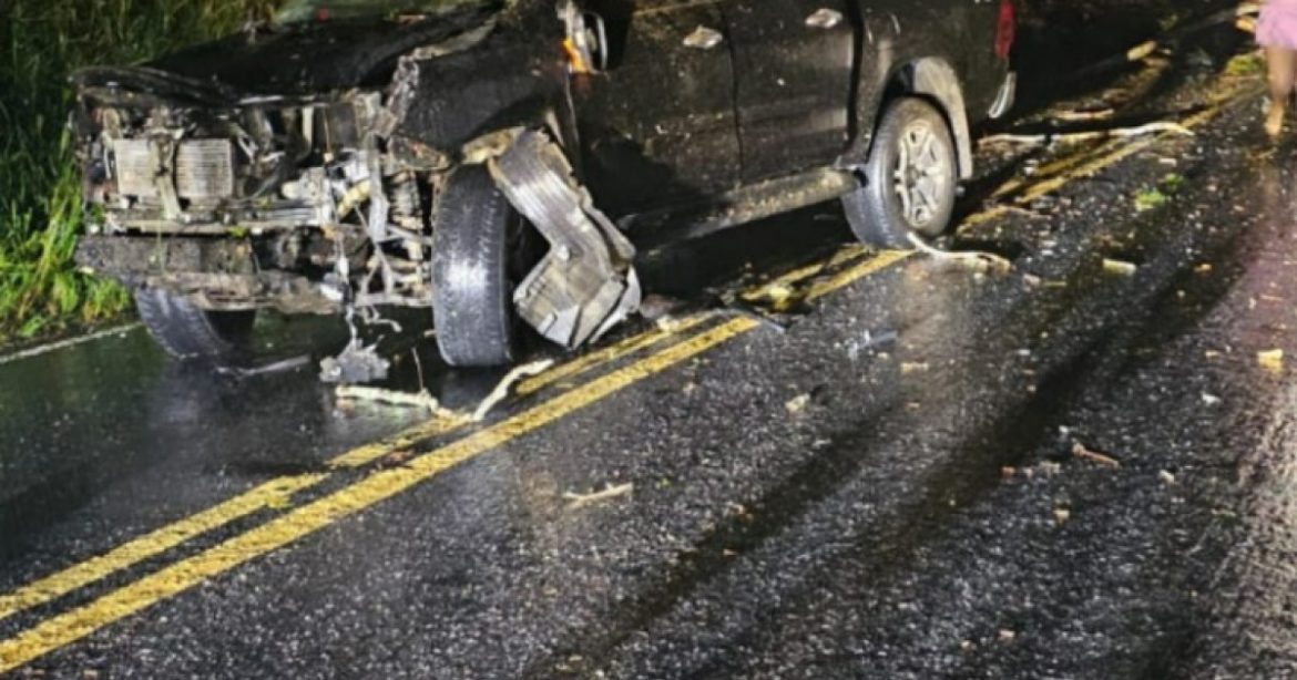 video:-queda-de-arvore-provoca-acidente-e-interdicao-da-ba-130-no-sudoeste-baiano 