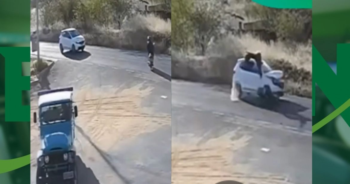 video:-acidente-deixa-uma-pessoa-morta-apos-atropelamento-na-ba-245-no-sudoeste-baiano