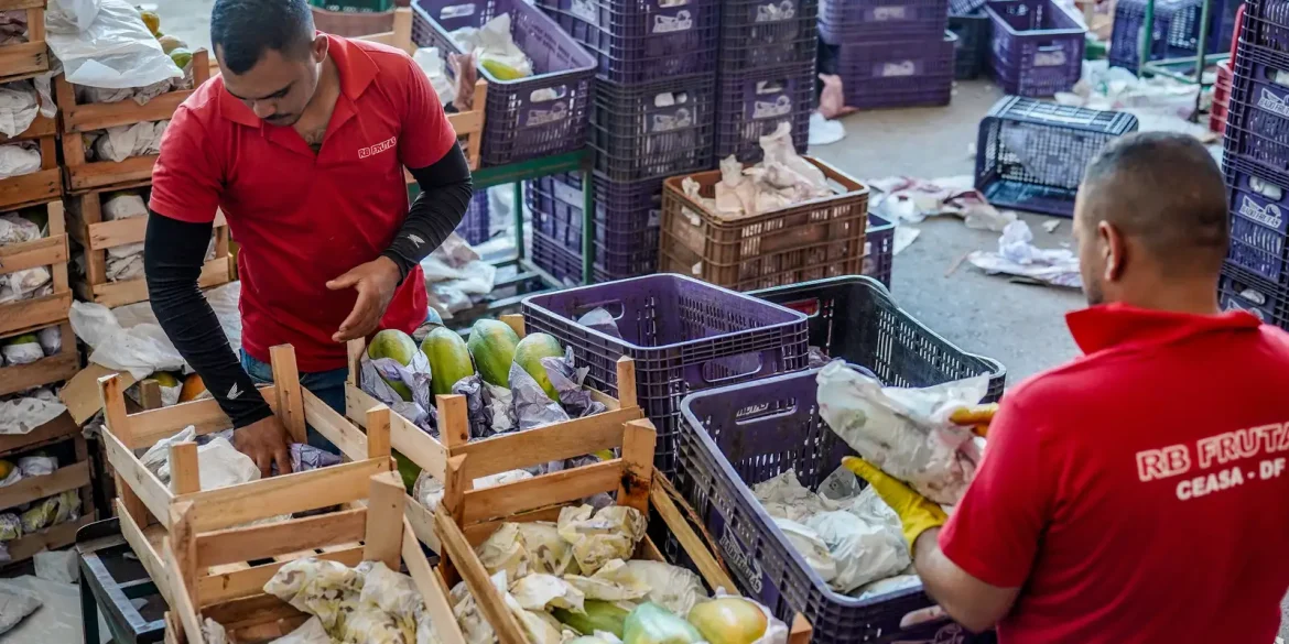 governo-anuncia-credito-de-r$-97,3-bi-para-agricultores-familiares