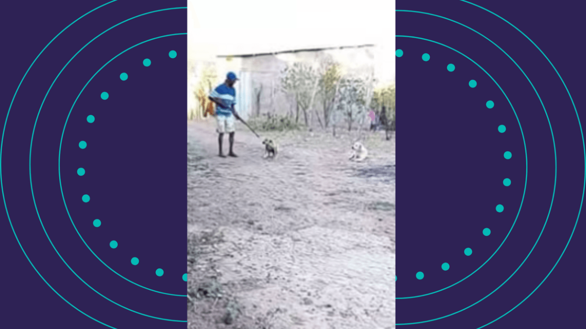 homem-e-procurado-pela-policia-apos-matar-cachorro-a-tiros-na-bahia